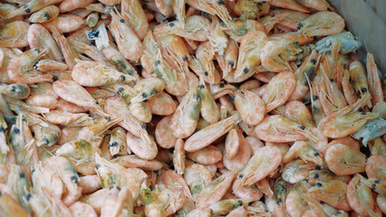 Pink fresh frozen shrimps with ice in a supermarket or fish shop. Uncooked seafood close up background. Fresh frozen prawns, delicacies, sea food concept, close up.