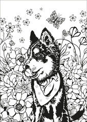 Husky. Black and white illustration of a dog. Coloring page.