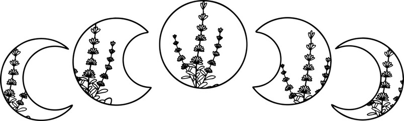 Moon with wild flowers, png