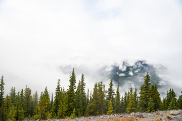 Sulphur mountain in Alberta, Canada on a moody autumn day