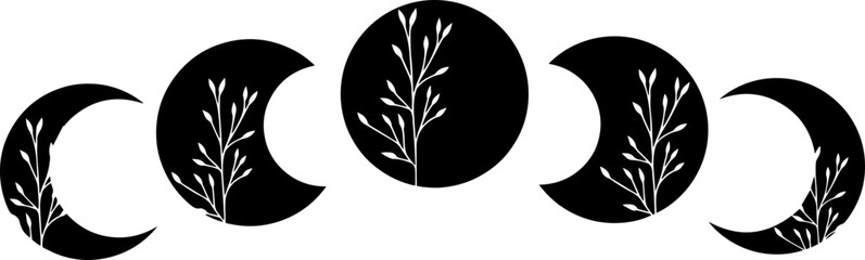 Moon cycle with wild flowers, vector art