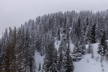 On top of the snow-capped Alpine mountains Dobrač