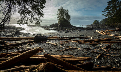 Fototapeta na wymiar Botany Bay Vancouver Island
