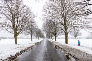 A road dissects a snow covered park field 