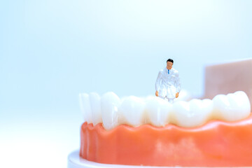 Miniature people : Dentist observing and discussing about human teeth with gums