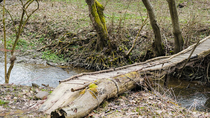 Fototapeta premium Handmade wooden bridge over the river. Footbridge in the european spring forest. 