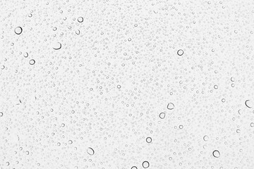 Rain drops on glass background