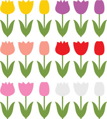 vector set of colorful tulips
