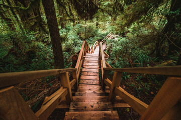 Rainforest Trail Ucluelet on Vancouver Island, Canada © Alicia