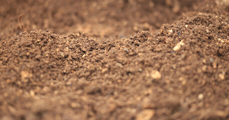soil planting backgorund isolated macro fresh brown