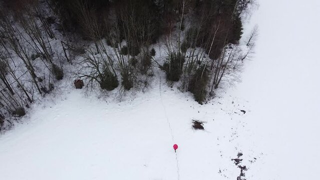 woman with a red umbrella walks on a snow-white meadow inside a forest with black trees. View from the top. Drone shot