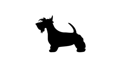 scottish terrier silhouette - obrazy, fototapety, plakaty