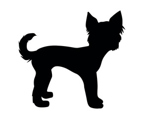 Yorkshire Terrierblack silhouette of a standing dog