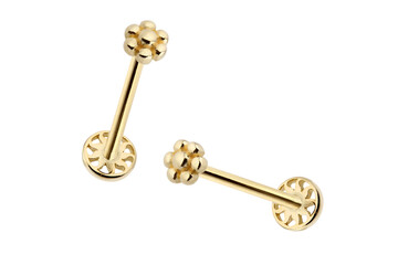 piercing earrings gold silver ideas white key isolated lock old security metal white keys antique door