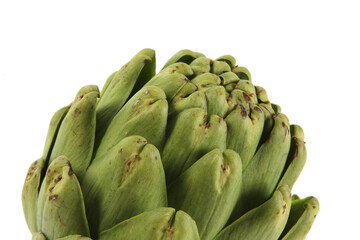 Obraz premium Artichoke on white background seamless