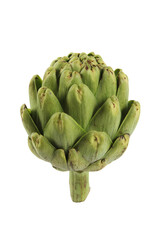 Artichoke on white background seamless