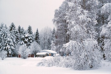 Beautiful winter scenery around Boden lake, around Arctic Circle. Frozen trees and snowy buildings on coast of lake. Sweden, Swedish Lapland