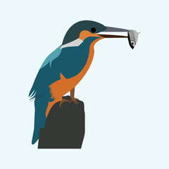  Illustration of a beautiful and cute blue Birds