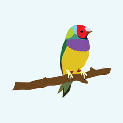  Illustration of a beautiful and cute colorful Birds