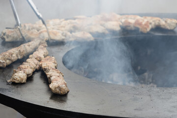 Grilling a chicken, summer picnic in backyard. Healthy and fastfood concept. Barbecue grill, fire, flame. Soft focus.