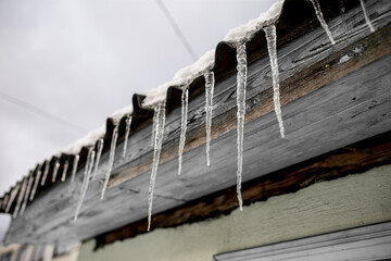 Large icicles melting from wooden building during spring