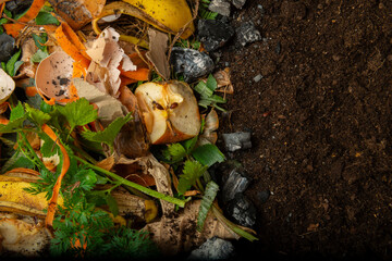 organic compost - biodegradable kitchen waste, wood ash, paper and soil.