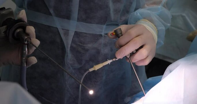 In the operating room, the surgeon placed a port in the dog's knee joint for arthroscopy. A veterinary surgeon inserts a camera into a dog's knee joint and examines the joint cavity.