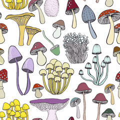 Seamless pattern with hand drawn mushrooms. Illustration in sketch style. On white background.