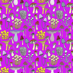 Seamless pattern with mushrooms on violet background.