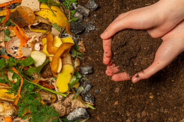 organic compost - biodegradable kitchen waste and soil. Layers of biowaste is covering with soil - 579142747