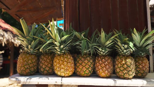 Dolly shot of ripe pineapples on the wooden counter of a fruit shop on the beach. Fresh fruits, juices and vitamins whole year in a tropical country. 