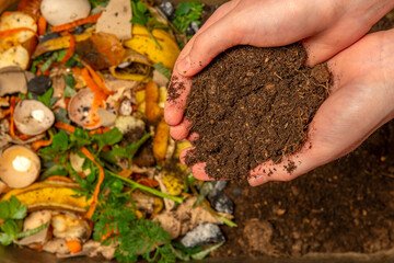 organic compost - biodegradable kitchen waste and soil. Layers of biowaste is covering with soil
