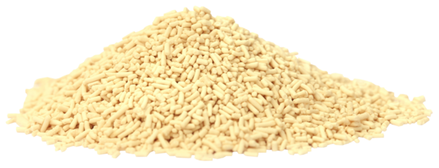 Yeast