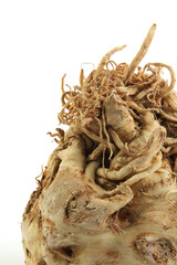 Celery Root on white background