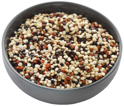 Fresh mixed quinoa in a bowl