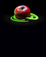 The snake lies near the apple