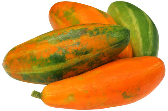 Red Pointed gourd