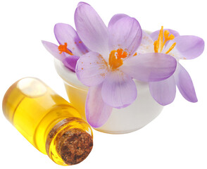 Fototapeta na wymiar Saffron crocus flower with extract
