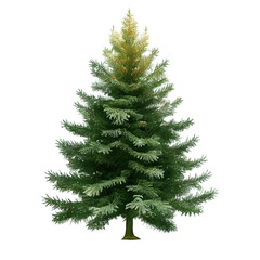 Green Pine, christmas winter tree Isolated on white background. Transparent png. Generative ai.