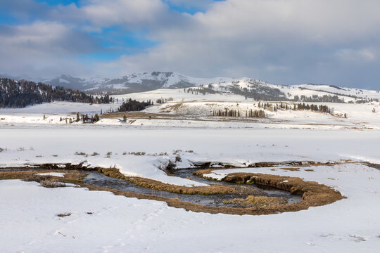 A Meandering Creek weaves through the Lamar Valley at Yellowstone National Park in late spring