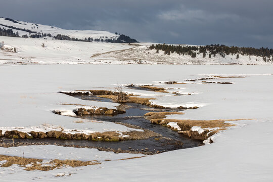A Meandering Creek weaves through the Lamar Valley at Yellowstone National Park in late spring