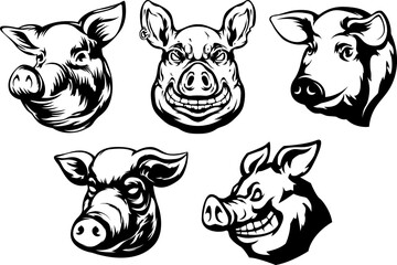 Pig head mascot. Swine logo. Hog illustration set.