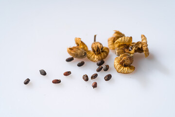 Basil seeds on a monochrome background