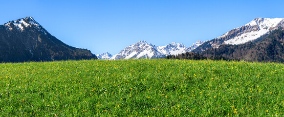 Beautiful grass meadow and snowcapped mountains panorama. Oberstdorf, Bavaria, Alps, Allgau, Germany. - 579154705