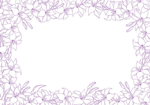 Lilly frame line art boarder for wedding invitation or card