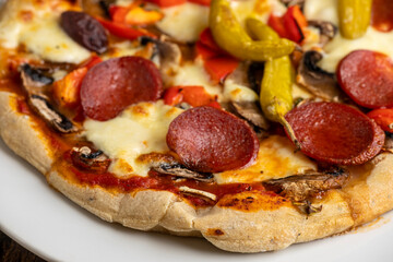 pizza with salami