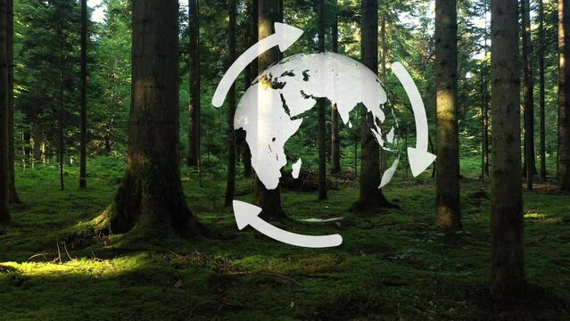 Slow movement green forest with eco recycle earth globe rotation. Concept environment.