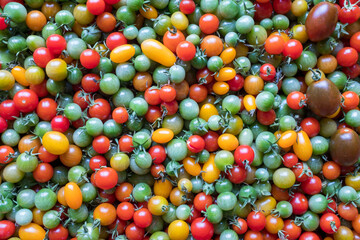 Fototapeta na wymiar Background from fresh multicolored tomatoes for publication, design, poster, calendar, post, screensaver, wallpaper, postcard, banner, cover, website. High quality photo