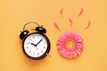 Composition with alarm clock, petals and beautiful gerbera flower on orange background