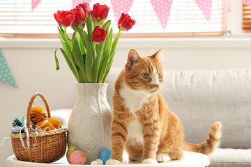 Fototapeta na wymiar Cute cat, vase with tulips and Easter eggs on table at home